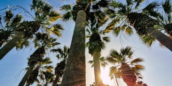 getty-images-dJYg2MKjup8-unsplash